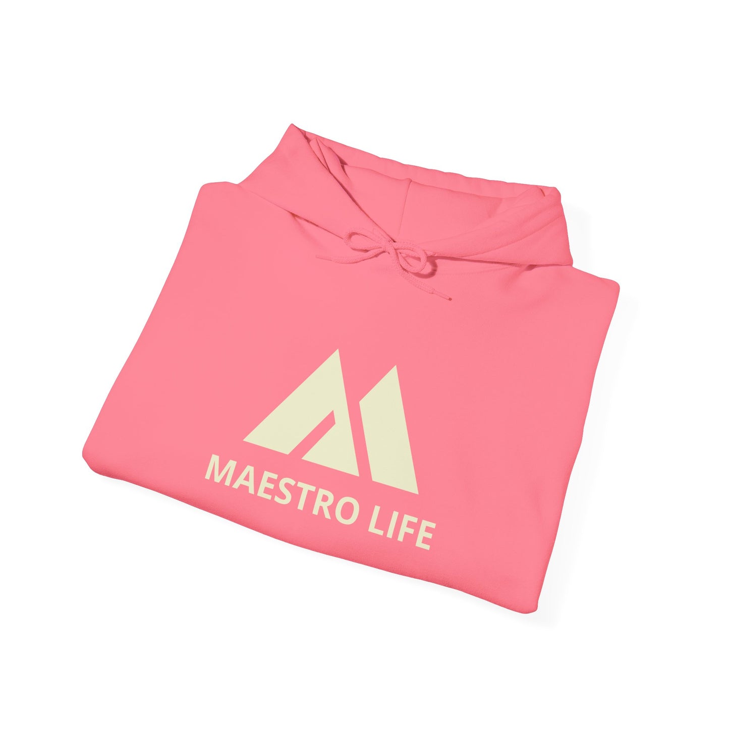 Maestro Life Gym and Casual wear Hoody